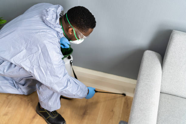 Real Estate Pest Inspections in Cherry Branch, NC